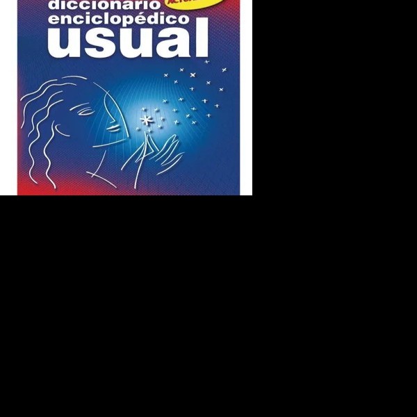 DICCIONARIO USUAL LAROUSSE 1040 C.40